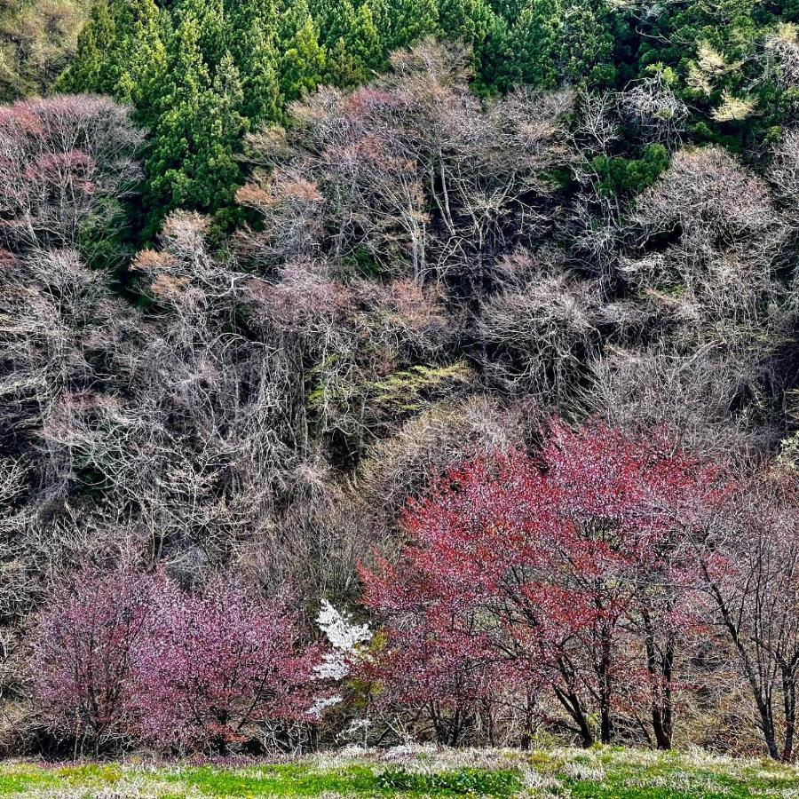 Hotel Sejour Mint In Hakuba Zewnętrze zdjęcie